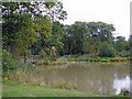 Capenhurst - fishing pond in Big Wood in Saughall & Mollington Ward