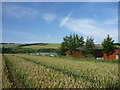 East Lothian Landscape : The Southwest Edge of Thurston Manor Caravan Park in EH42 1SA