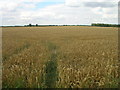 Farmland off West End Road in DN39 6TE