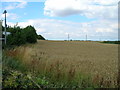 Farmland near Wootton in DN39 6SE