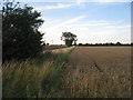 Field edge near Eagle in LN6 9AS