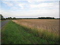 Swinderby Road and harvested field in LN6 9AS
