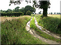 Bridleway to Shangri La, Hall Common, Ludham in NR29 5NU