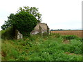 Hilton, ruined farm buildings in DT11 0DF