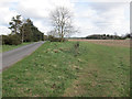 Minor road to Icklingham in Cavenham