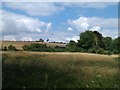 View across fields near Kings Somborne in SO20 6PW