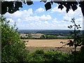 View from the Pilgrim's Way in ME19 5JY
