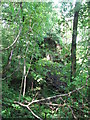 Disused building in the trees near Pontneddfechan in SA11 5UH