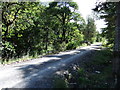Track near Forrest Bridge in DG7 3XS