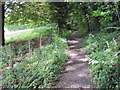 Footpath from Twyford to Hensting Lane in SO21 1FR