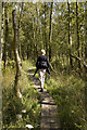 Boardwalk on path to Low Hay Bridge in LA12 8JG