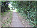 Footpath from School Road to Mayles Lane, Wickham in PO17 5AH