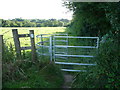 Kissing gate into cow pasture near Llangwm in SA62 4HP