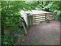 Bridge over the Grwyne Fawr near Llangenny in NP8 1TD