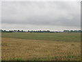 Farmland south of Reedness in DN14 8EY