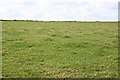 Large Pasture Field in PL26 6EW
