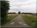 Track to Haldenby Hall Farm in DN17 4QZ