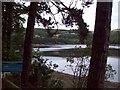 Scots Pines by Agden Reservoir in S6 6JZ