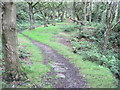 Footpath in Dean Wood, Netherton in HD4 7BX