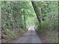 Narrow lane south of Lye Head in DY14 9AG