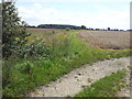 Ploughed fields and Whin Plantation in IP6 9TH