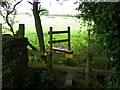 Stiles, Higher Marsh in BA8 0TQ