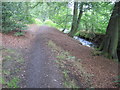 Footpath beside River Holme in HD9 7TB