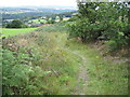 Footpath on Ludhill Lane in HD4 6UP
