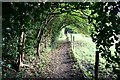 Thorney Footpath in Thorney