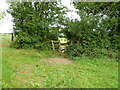 Gaunt's Common, double stile in BH21 4JN