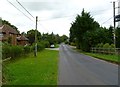 Rooks Hill, country road in BH21 4JN
