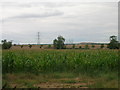 Farmland off Wilsic Lane in DN11 9LG
