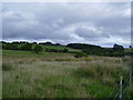 Fields west of the River North Tyne above Wark in NE48 3BY