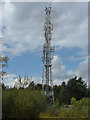 Telecommunication mast, Chobham Ridge in GU15 1HG