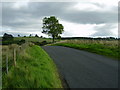 Road to Wark from Birtley in NE48 3HJ