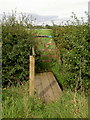 Short Footbridge near Bolton. in YO41 5QX