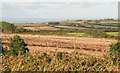 Rural East Cornwall from nr Penhale farm in PL11 3JQ