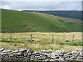 Hillside above the Nant Tryfal in CF34 0SN