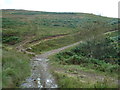 Path down to the ford on the Nant yr Hwyaid in SA13 3HE