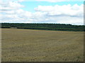 Farmland off Bawtry Road in DN11 8EF