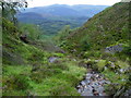 Downstream in the course of tributary to Allt Crioch in Loch Ard Forest in FK8 3XJ