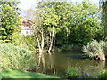 Fishponds Park, Tolworth in KT6 6QL