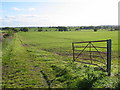 Open Fields Near Woodnewton in PE8 5HY