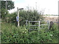 Useless gate in Thorney