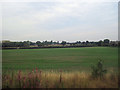 Crop field looking towards Hadnall from railway in SY4 4AJ