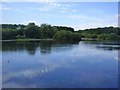 Ravensthorpe Reservoir West of the Causeway in NN6 8RB