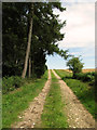 Track to Bircham Common in PE31 6EF