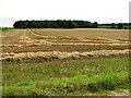 Harvested field at Bircham Common in PE31 6EF