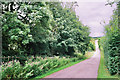 Track from Leigh Lodge in Leighfield