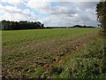 Farmland by Coldmoor Coppice in GL54 3BY